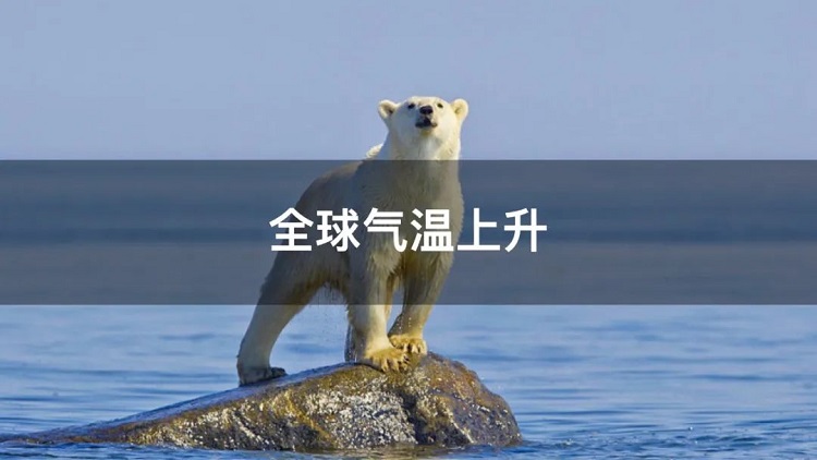 螞蟻商聯(lián)攜手金好來超市發(fā)起“以竹代木，翠我山河”植樹節(jié)活動，從改變生活習慣開始！喊你為公益接力~